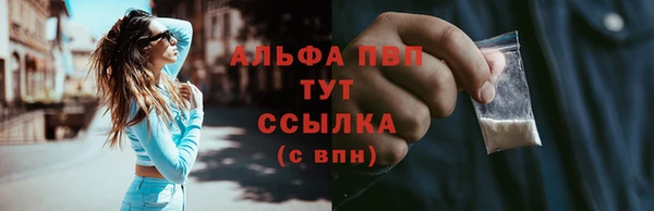 экстази Белокуриха
