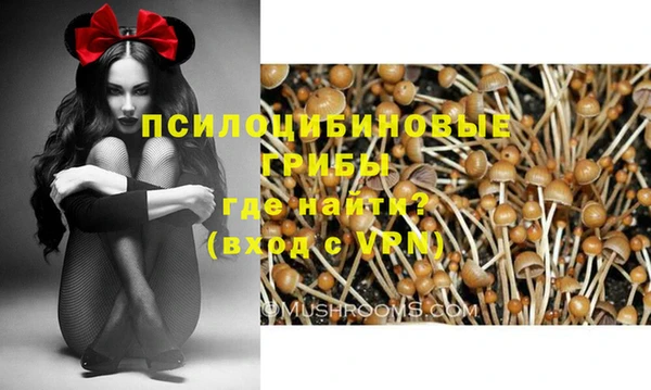 бутират Балахна