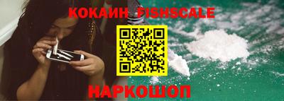 гидра Моздок