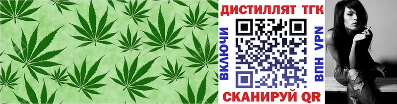 KRAKEN ТОР Реутов ТГК гашишное масло