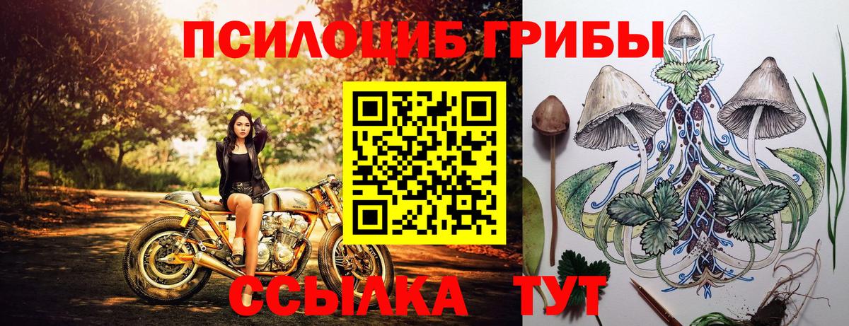 Галлюциногенные грибы мицелий  Вход с VPN  даркнет сайт  Реутов 